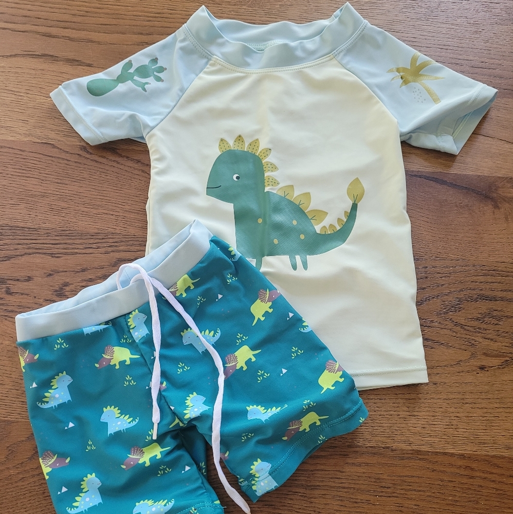 Dinosaur Swimset